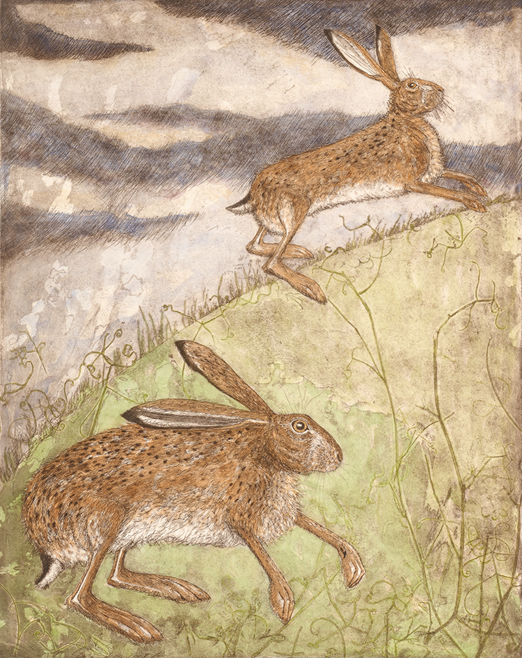 Through the Peafield