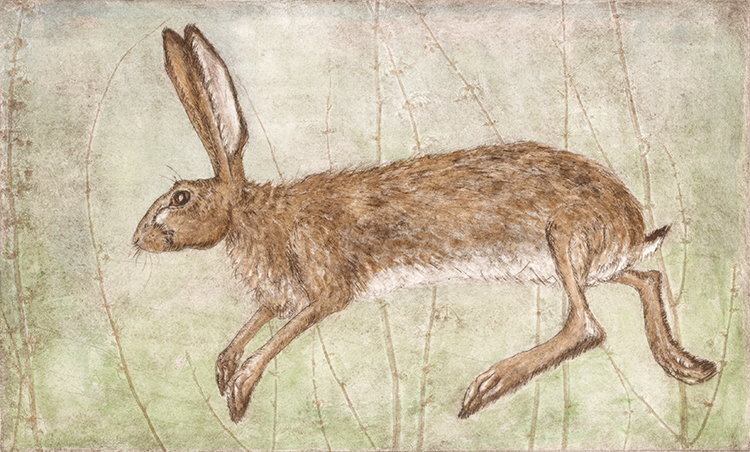 Through the dock seed