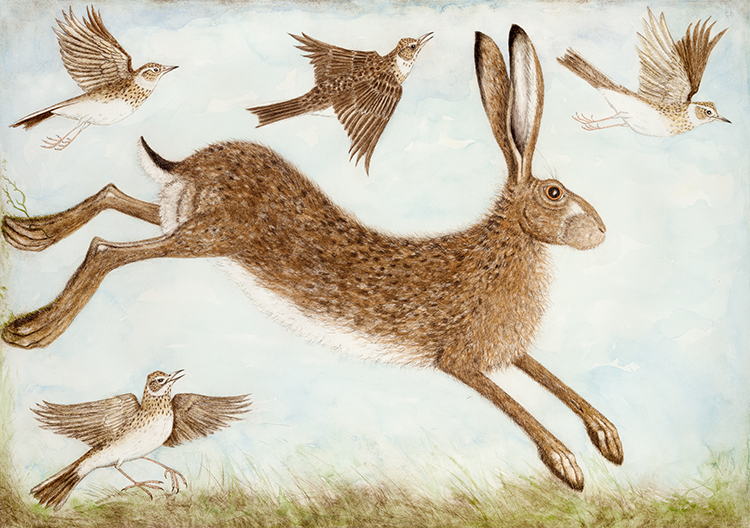 Up with the Larks use