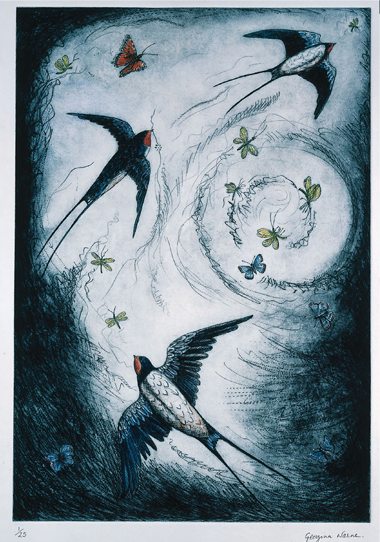 a swallows summer