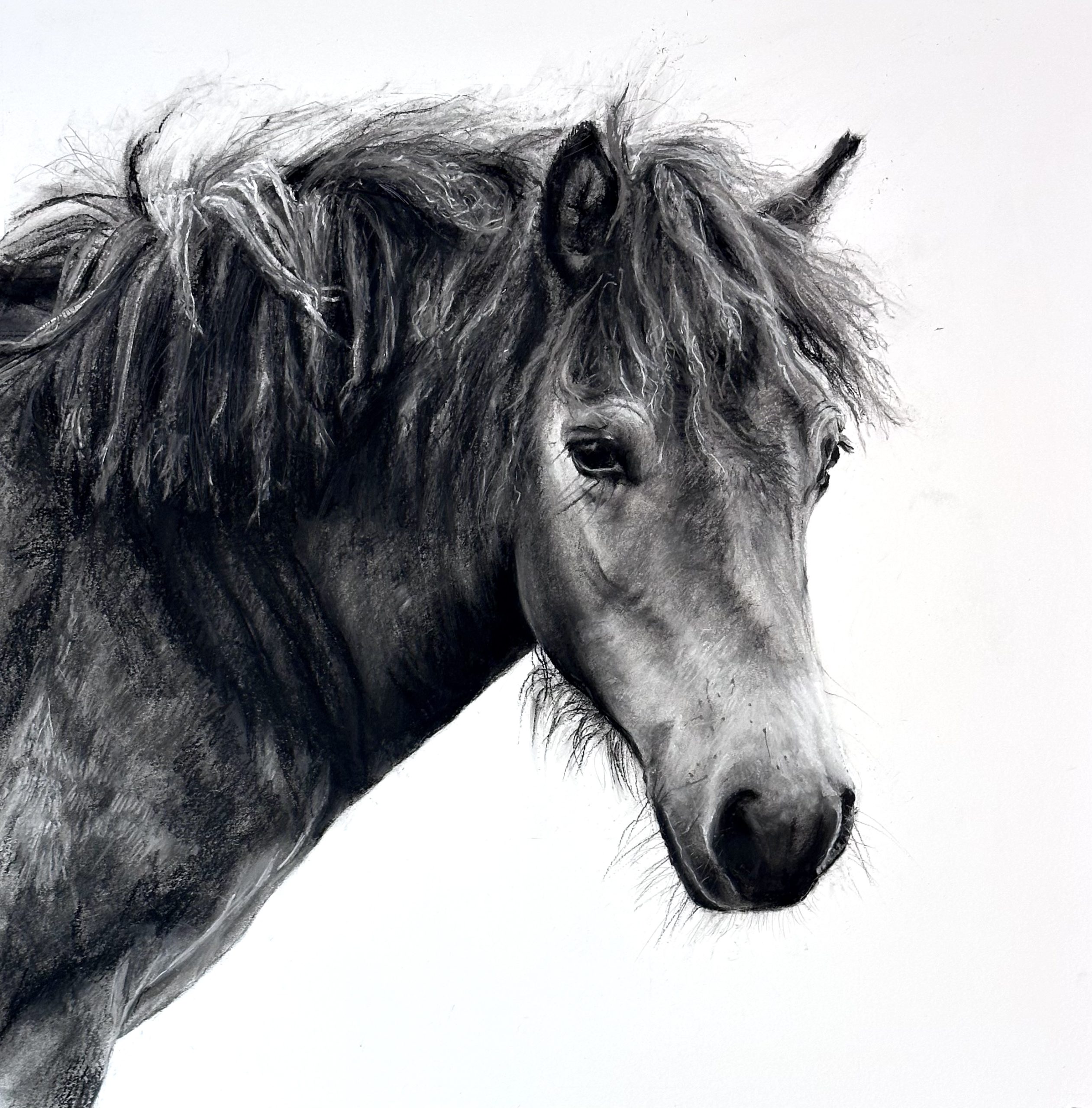 Lucy Boydell Limited Edition